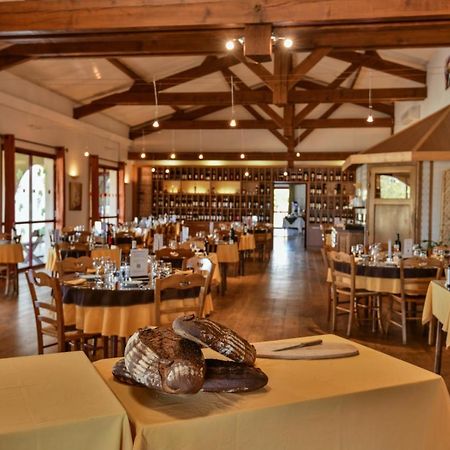 Logis Hotel Restaurant Solenca Nogaro Eksteriør bilde