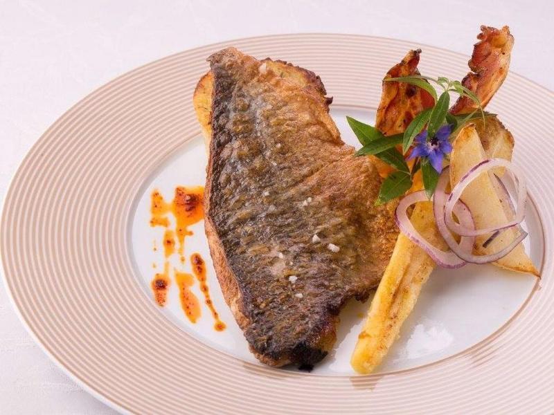 Logis Hotel Restaurant Solenca Nogaro Eksteriør bilde